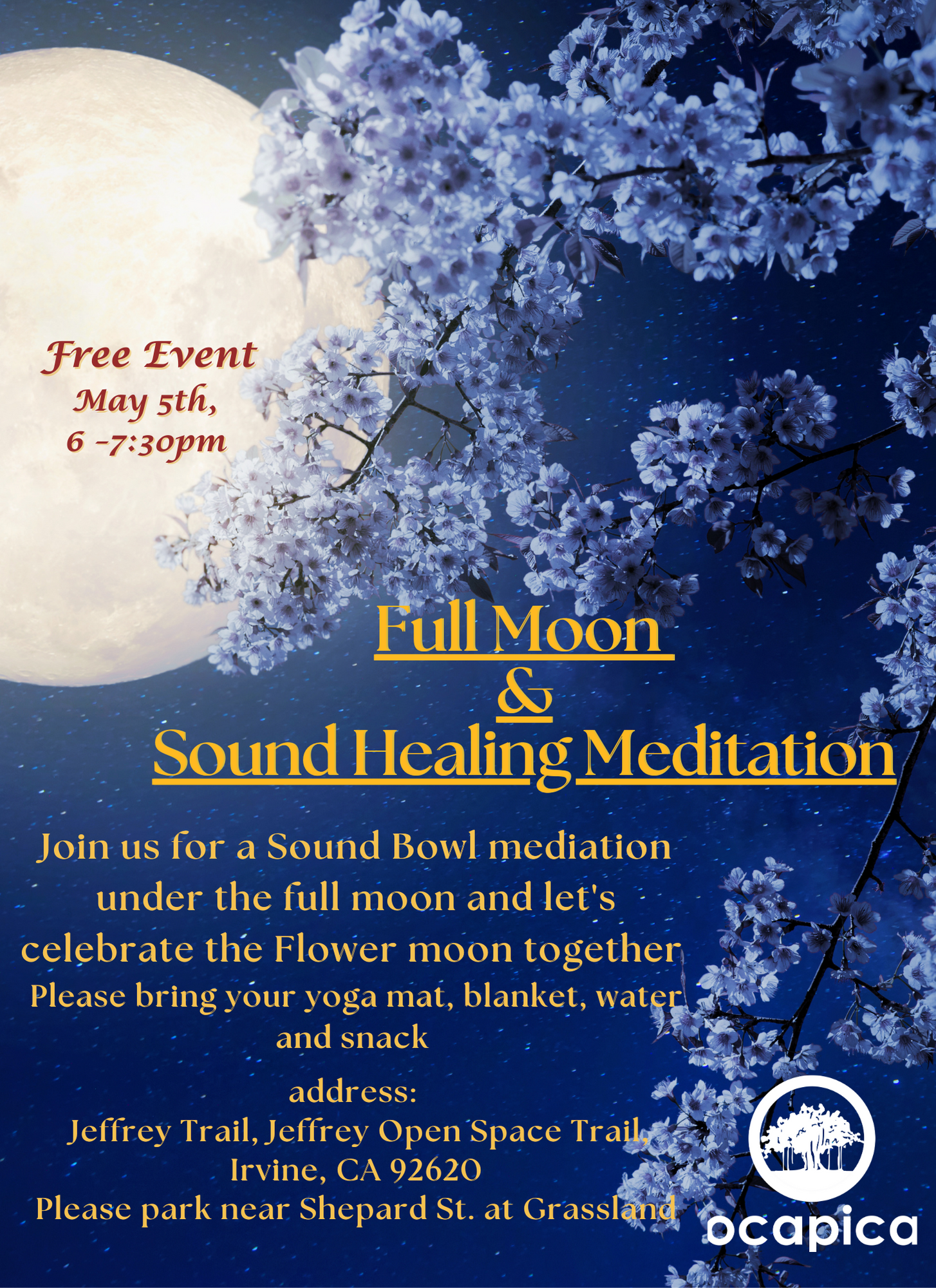 Full Moon & Sound Healing Event