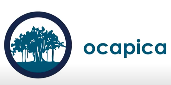 Mindful Decluttering presented by OCAPICA